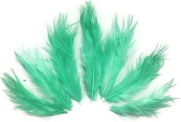 Craft Feathers, 1 Dozen - Solid Mint Green Rooster Chickabou Fluff Feathers