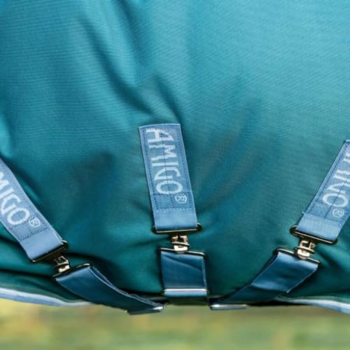 Image of Horseware Amigo Bravo 12 Plus Turnout 400g - Storm Green /Turquoise & Aqua & Blue, 66