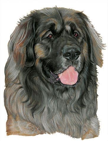 Leonberger Blank Note Cards Boxed Set of 10 cards & 10 envelopes