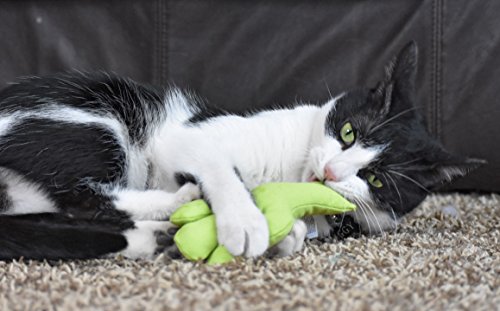 Ourpets 100-Percent North-American Catnip Filled Cactus Cat Toy Prickles,All Breed Sizes #TOP6