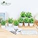 Der Rose 8 Pack Fake Plants Small Artificial Faux Potted Plants for Home Office Farmhouse Bathroom Bedroom Decor Indoor