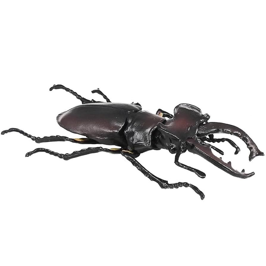 BANDAI 昆虫フィギュア ミヤマクワガタ オオクワガタ ゴライアスハナムグリ BANDAI 昆虫フィギュア ミヤマクワガタ オオクワガタ ゴライアス