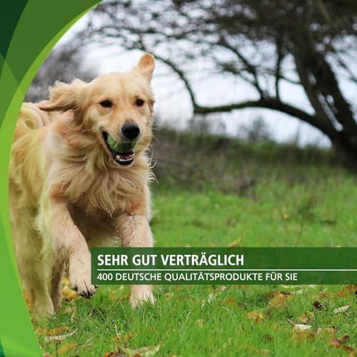 Fairvital | Vetipur Biotin Tabletten für Hunde - 90 Tabletten - Biotin Komplex 800µg - mit Kupfer, Zink und andere B-Vitamine - Futterergänzung für Hunde