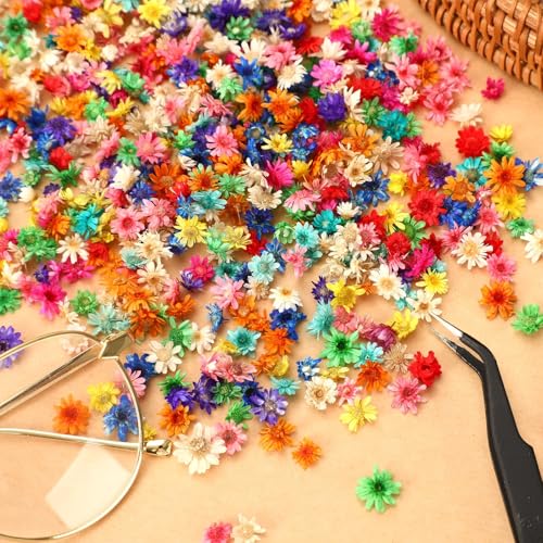 AUGSUN 420 Pcs Petites Fleurs Séchées pour l'Artisanat, Mini Fleurs Séchées Naturelles en Vrac pour DIY Nail Art, Fabrication de Bougies en Résine, Scrapbooking, Décoration Quotidienne de la Maison – vue 4