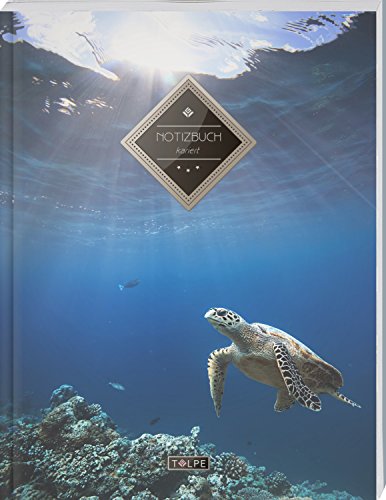  Zeichnungen auf Kariertem Papier – Die 15 besten Produkte im Vergleich Bildidee 