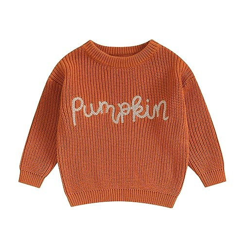 Image of Afunbaby Baby Girl Boy Knit Sweater Blouse Pullover Sweatshirt Warm Crewneck Long Sleeve Tops for Infant Toddler
