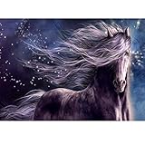 MXJSUA 5D Diamond Painting Round Drill Kits for Adults Pasted Embroidery Cross Stitch Arts Craft for Home Wall Decor Purple Horse 12x16in
