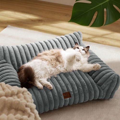 BEDSURE Katzenbett groß orthopädisches Hundesofa - 76x51x25cm Hundebett kleine Hunde waschbar Katzensofa große Katzen rutschfeste Katzencouch, dunkelgrau