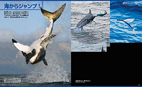 21年最新版 魚図鑑の人気おすすめランキング15選 幼児 子供 大人向け セレクト Gooランキング