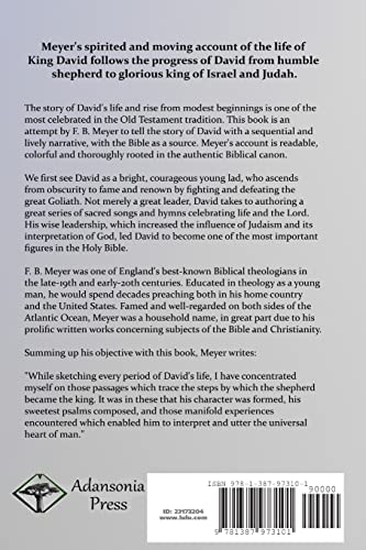 David: Shepherd, Psalmist, King - A Biblical Biography - Image 2