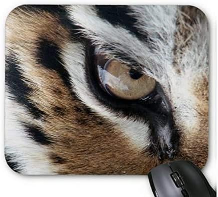 Amazon Co Jp アムール トラの 目のマウスパッド フォトパッド 世界の野生動物シリーズ 横 ホーム キッチン Amazon Co Jp アムール トラの 目のマウスパッド フォトパッド 世界の野生動物シリーズ 横 ホーム キッチン