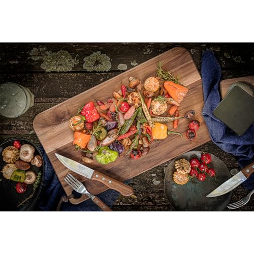 Tramontina Dynamic Steakmesser Jumbo, 4-teiliges Set, rostfreier Edelstahl, Holzgriff, 4 Steakmesser