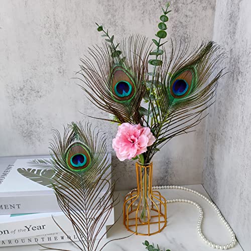 Tharaht 12Pcs Peacock Feather Natural In Bulk 10-12 Inch 25-30Cm For Craft Vase Wedding Home Party Christmas Day Decoration Peacock Feathers #TOP4