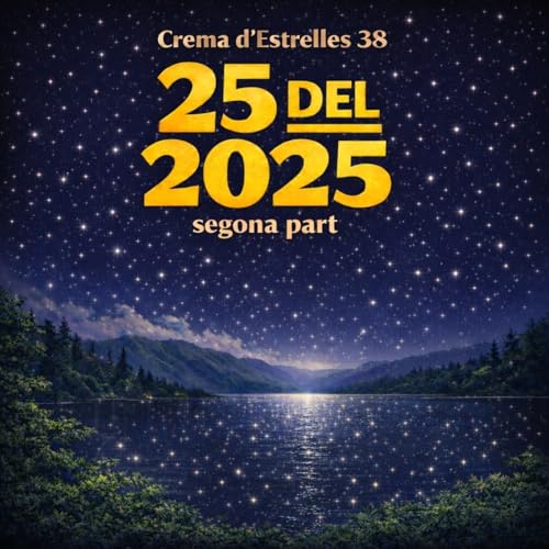 38- 25 del 2025 (segona part)