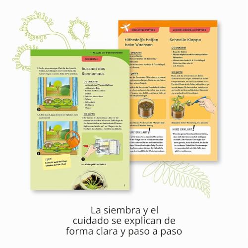 Plantas carnívoras kit de cultivo con turba orgánica y cúpulas de germinación rápida 4