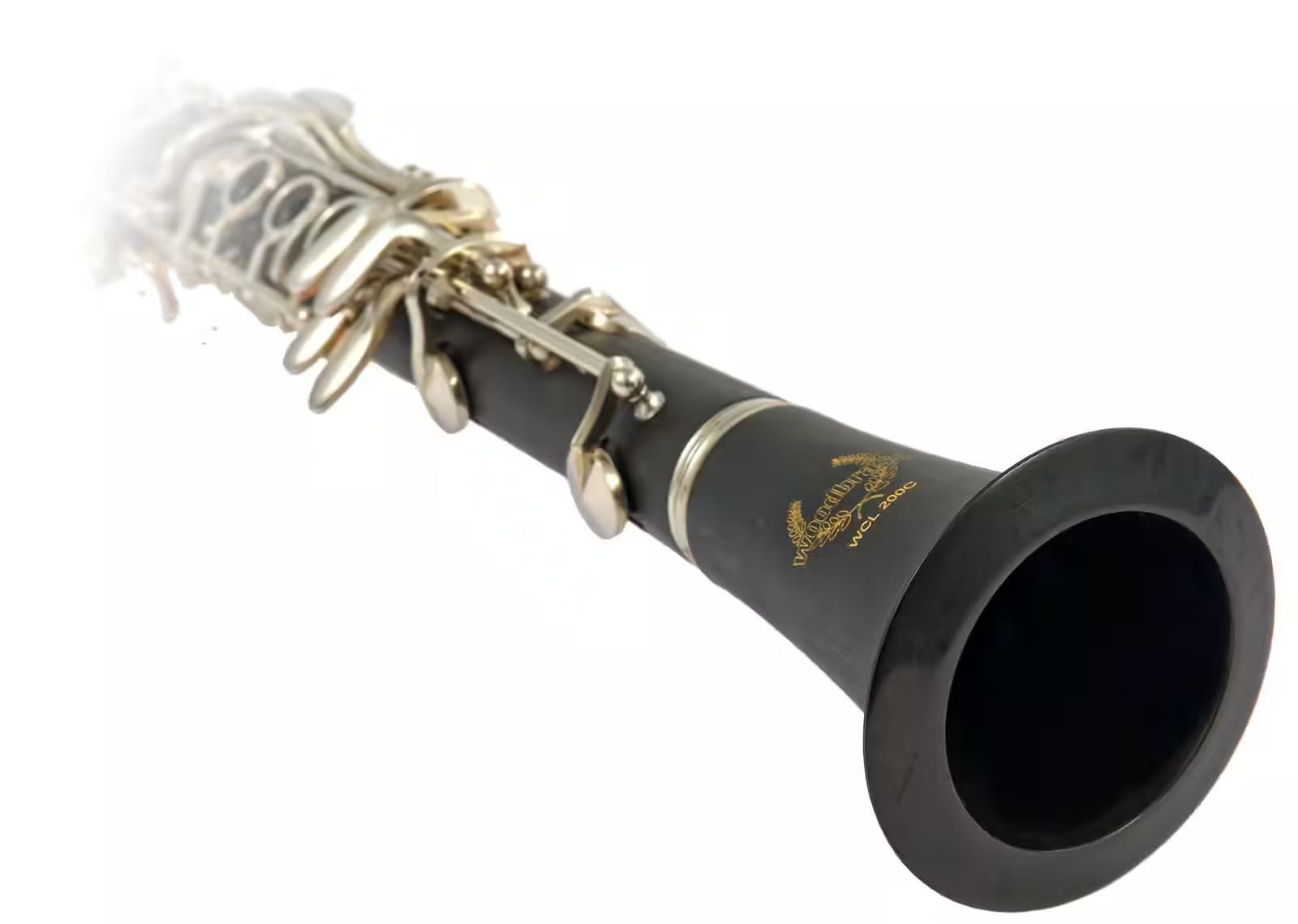 WOODBRASS WCL200C Clarinette en Ut Débutant 17 Clés Système Boehm - Corps ABS Léger, Son Clair & Facile - Instrument Prêt à Jouer avec Étui, Bec & Accessoires Inclus