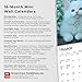 For the Love of Kittens | 2026 7 x 14 Inch (Hanging) Monthly Mini Wall Calendar | BrownTrout | Animals Cats Feline