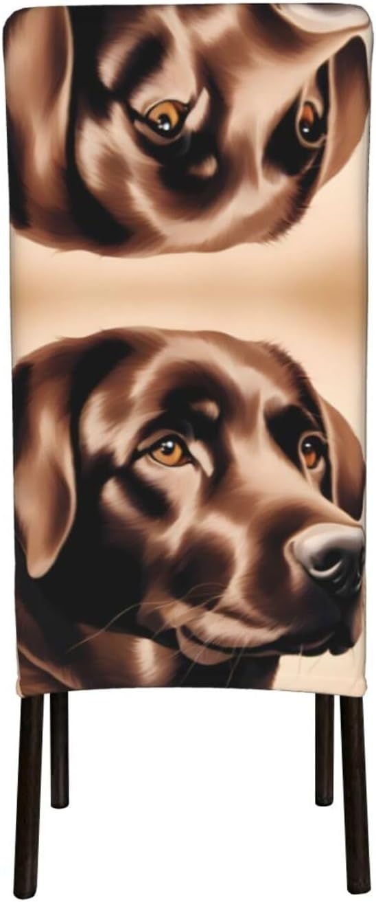 Brown Labrador Retriever Prints Protection Cover for Dining Chair - Stretchable Chair Throw Covers for Dining Room, Hotel Event Party