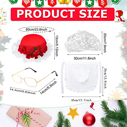 5 Pcs Women's Santa Dress Costume with Hat, Wig, Glasses, Apron and Gloves for Christmas Party Cosplay