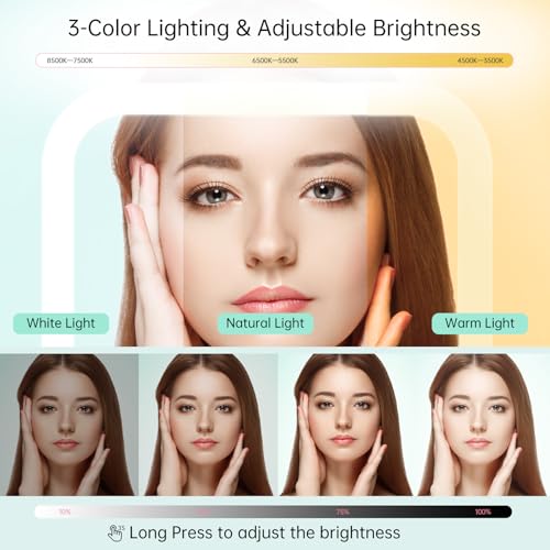 Famihomii Wiederaufladbarer Tragbarer Kosmetikspiegel mit 20fach Vergrößerung, Reisespiegel Beleuchtet mit 3 Beleuchtungsmodi, 72 LEDs, Schminkspiegel Ultraschlanker Tragbarer für Make-up