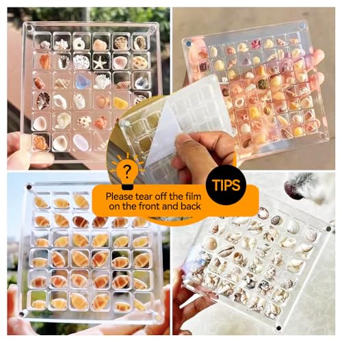 Acrylic Magnetic Seashell Display Box, Seashell Collection Box and Jewellery Display Box, Collection of Seashells for Display, Small Crafts Storage containers (36grids, Square), Transparent