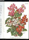  LA REVUE HORTICOLE 1938 N° 5 - Chronique horticole.Le nouveau Jardin d\'Hiver du Muséum d\'His-toire Naturelle. — S. GILLE-DELAFON. Un Fruit de valeur insuffisamment connu : Le Butia. — Docteur Ax. ROBERTSON-PRO-CHOWSKY.L1 Acacia cyanophylla Lindl.