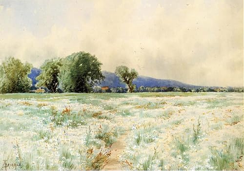 Lienzo il campo delle margherite di Alfred Thompson Bricher para regalo