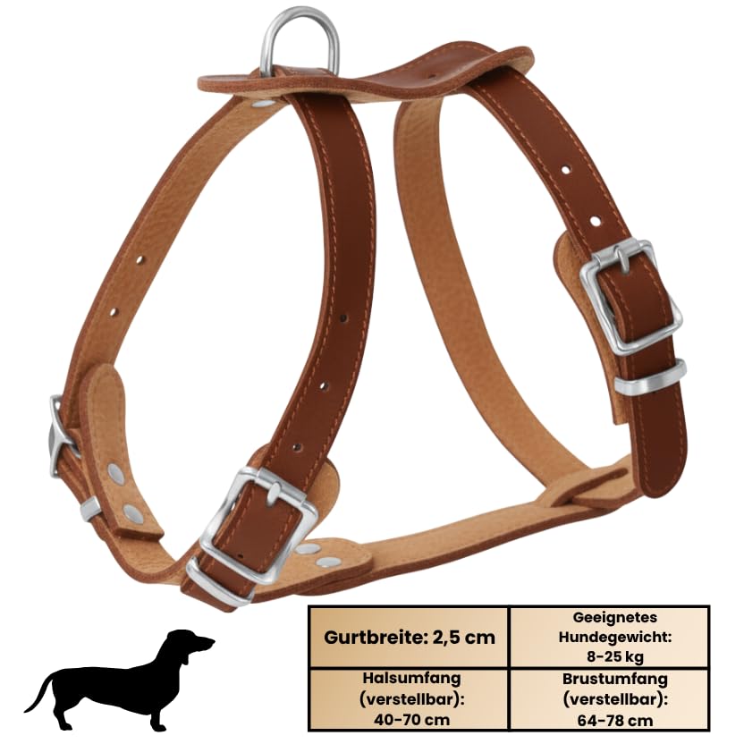 Hundegeschirr kleine Hunde aus echtem Rindsleder - Hundegeschirr Leder für Dackel, Chihuahua & co - verstellbares Welpengeschirr - Geschirr für kleine Hunde für Spaziergänge & Alltag (S)