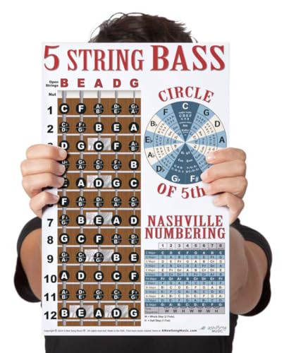A New Song Music Laminated 5 String Bass Fretboard Poster - Nashville Numbering System, Circle of 5ths, Notes Instructional Chart | BLUE 11x17