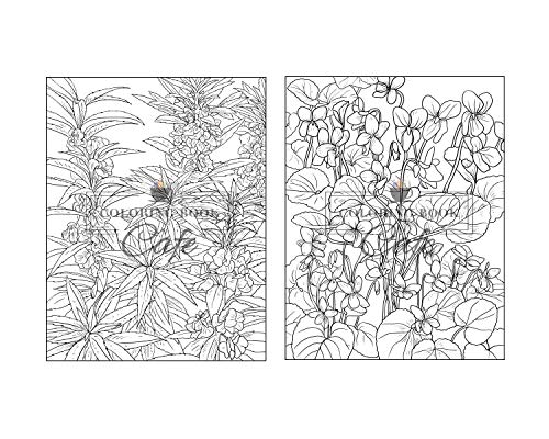 100 Beautiful Flowers Coloring Book: An Adult Coloring Book Featuring 100 Beautiful Flower Designs I
