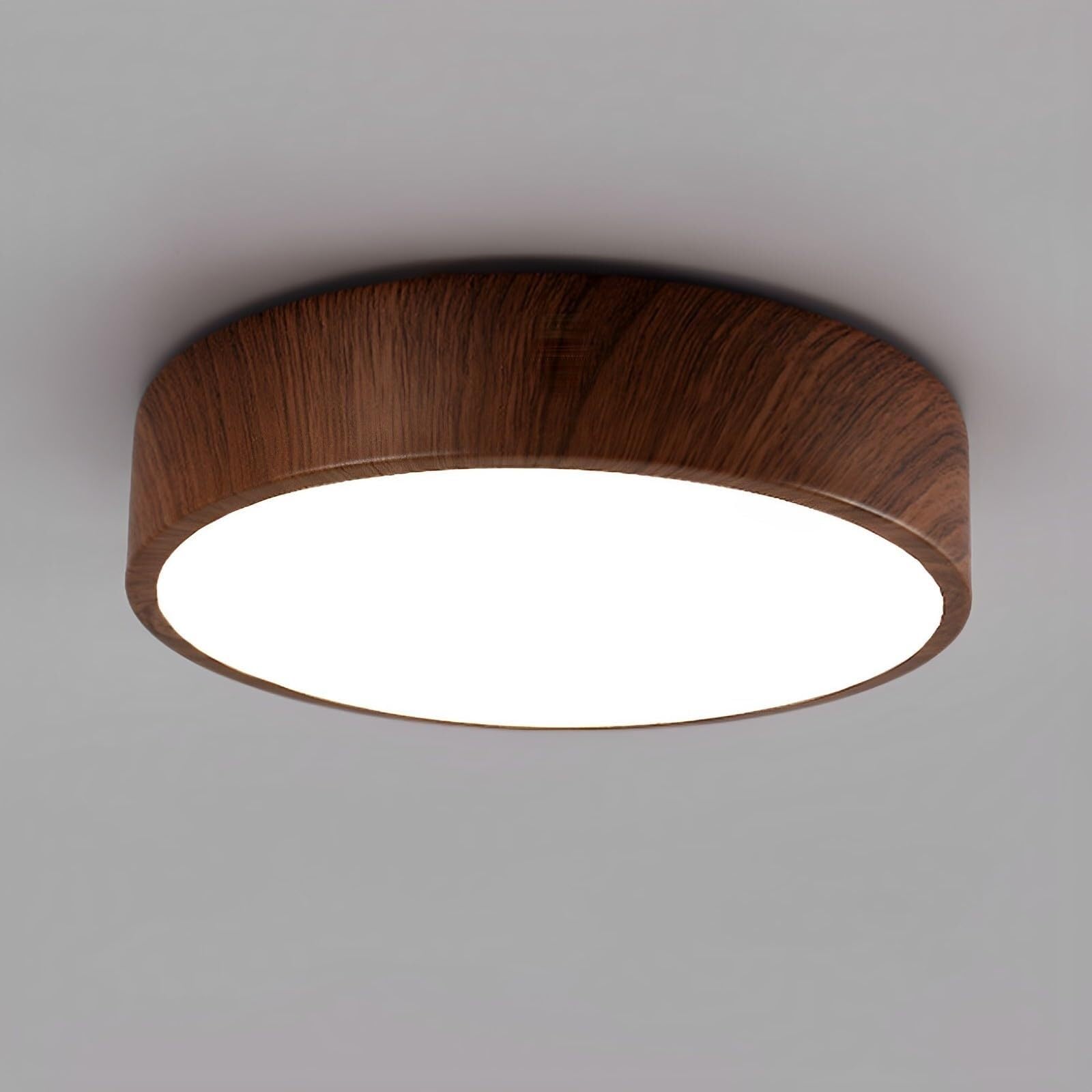 LYOUAE Modern Acrylic Ceiling Light Minimalist Ultra-Thin LED Ceiling Lamp
