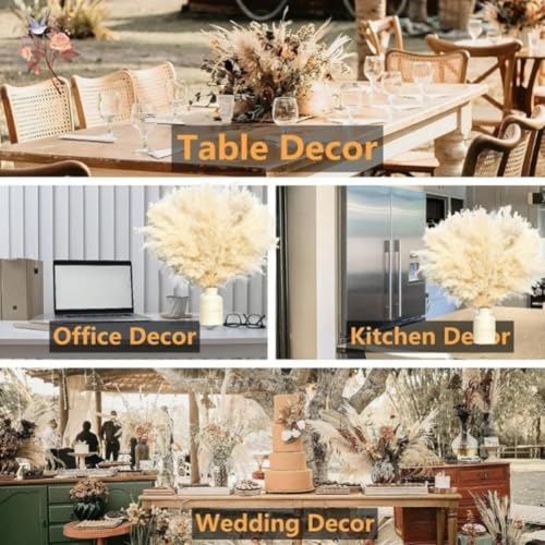 Pampas Grass ramo decorativo seco 45-50cm 5 piezas miniatura 6