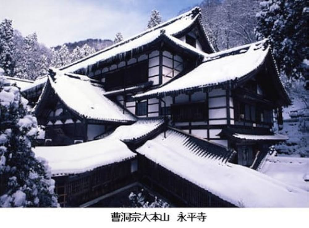 NHK特集 大禅問答法戦~若き雲水たちの永平寺 [DVD] 81LCtQ4i5OL.jpg