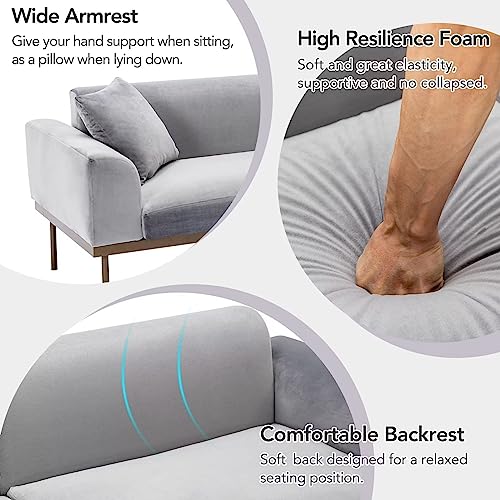 Modern Velvet Sofa With Metal Legs, 2 Seater Couch For Small Space, 2 Throw Pillows, Sofa For Bedroon, Living Room, Apartment,Grey #TOP5