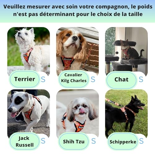 Vignette produit