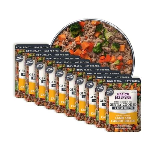 Health Extension Gently Cooked Lamb & Carrot Dog Food, Human-Grade & Shelf-Stable with Superfoods, Supports Digestion, Immunity, Skin & Coat, 3 oz Pouch (Pack of 10)