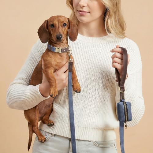 Image of Didog PU Leather Dog Collar for Small Dogs Puppy, Soft Lining, Blue S