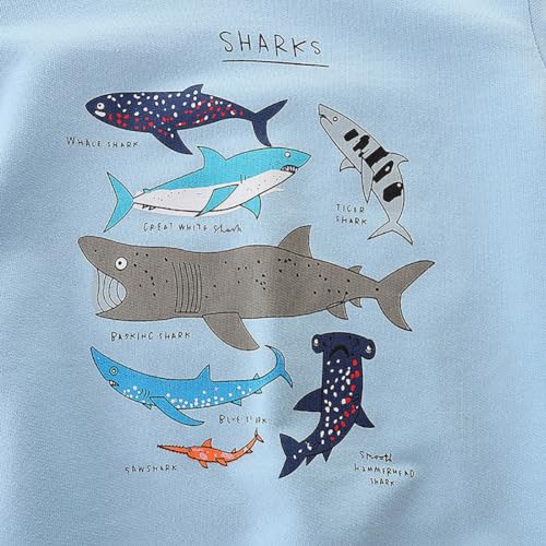 Boys Sweatshirts Long Sleeve Sweatshirts T-shirts Crew Neck Cotton Casual Sweatshirts Cartoon Tops for Boys-1484