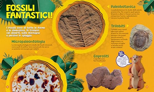 Grandi Parole Per Piccoli Paleontologi. Ediz. A Colori - 6