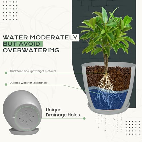 image for Utopia Home - Plant Pots Indoor with Drainage - 7/6.6/6/5.3/4.8 Inches