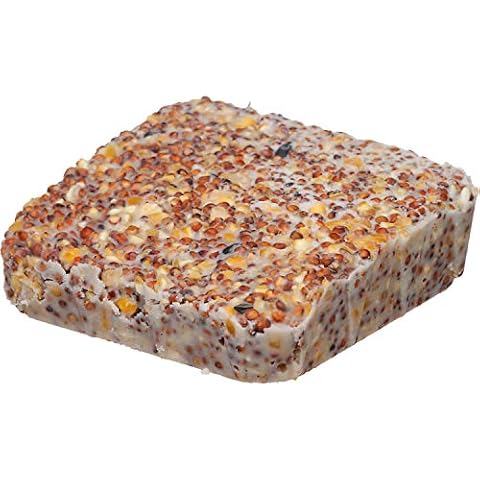 Morning Song 014192 11463 Year-Round Suet Wild Bird Food, 11.75-Ounce Cover