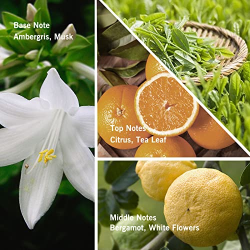 Westin White Tea Candle - Scented Candles For Home - Natural Soy Candles - Natural Soy Candles - Aromatherapy Candle - Odor Eliminating Fragranced Candle - Up To 40 Hour Burn Time - 7 Oz #TOP6