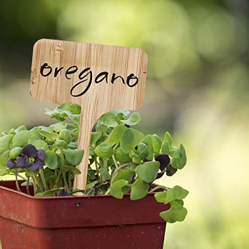 Best Plant Labels Buying Guide Gistgear