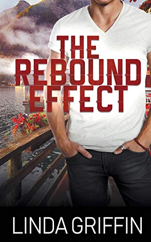 The Rebound Effect view 2
