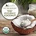 Kevala Organic Coconut Butter - Nutritious Addition to Everyday Baking and Cooking, Creamy Spread for Toasts and Desserts, Ingredient for Homemade Skincare and Haircare Cosmetics, Bulk Size, 8 lb
