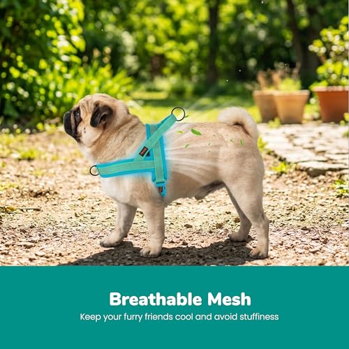 Image of Didog No Pull Dog Harness for Medium Dogs, Breathable Mesh Padded, Green, M | Quick Fit, Easy On and Off, Adjustable, Reflective Vest Harness for Night Safty, Easy for Walking and Training, Chest 21-26 inch