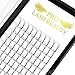 Premade Volume Eyelash Extensions 5D-D-0.07-10 Long Stem Premade Fans Eyelash Extensions C D Curl Premade Volume Fans .07 .10 3D 5D(5D-D-0.07,10 mm)