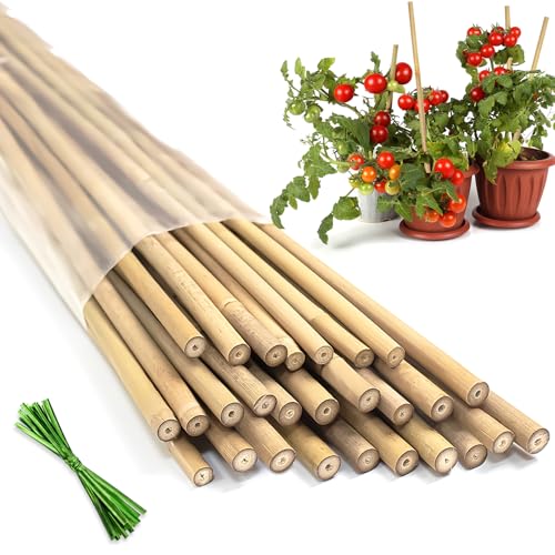 10 Best Wooden Plant Stakes for Supportive Gardening Success 5 20 Pcs Bamboo Plant Support Stakes (18 Inches)