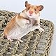Vogel Seegrasmatte,Vogel Hängematte mit Haken Natürliches Seegras-Gewebenetz Reptil Hängematte Netzmatte für Nymphensittich Hamster Meerschweinchen Ratten,52 x 20 cm