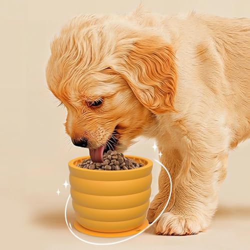 Interaktive Lick Bowl - Hundeanreicherungsschalen Mit Saugnäpfeln, Silikon -Slow -Futter -Tablett | Hunde -Leck -Spenderplatte, Unterhaltsames Essenswerkzeug Für Angstlinderung In Kleinen Mittleren Un